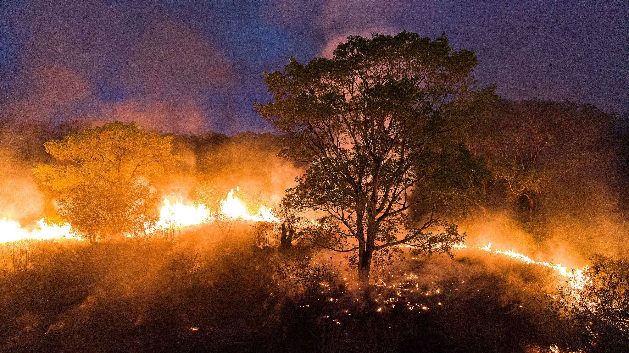 Primavera em Chamas - Amazônia e Pantanal Queimando