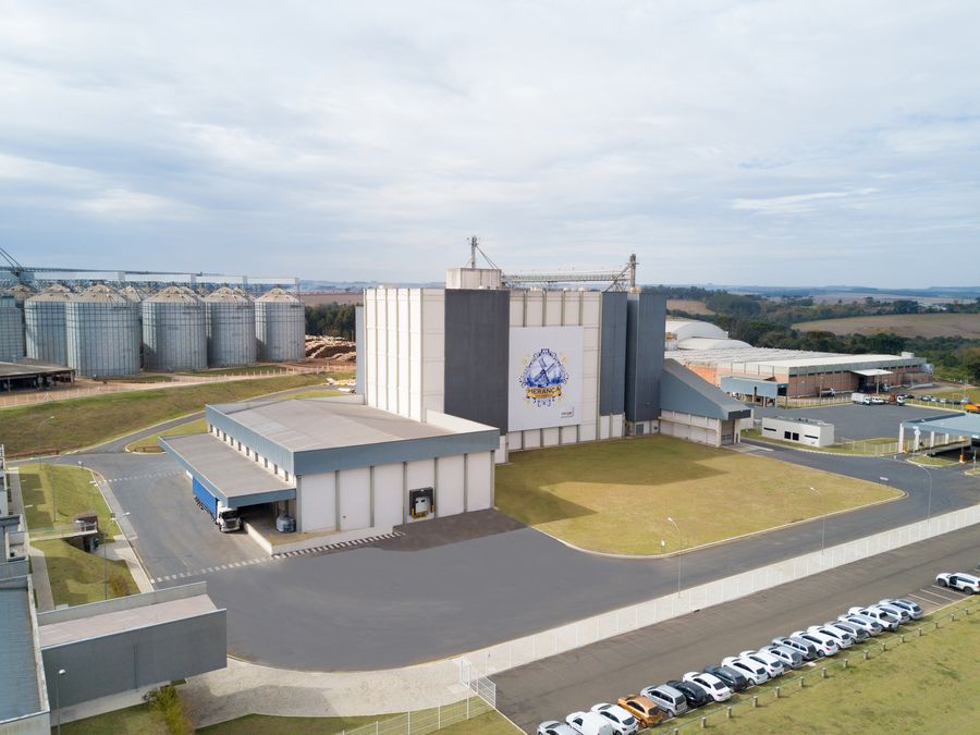Consumo e produção de trigo crescem e impactam positivamente Região dos Campos Gerais